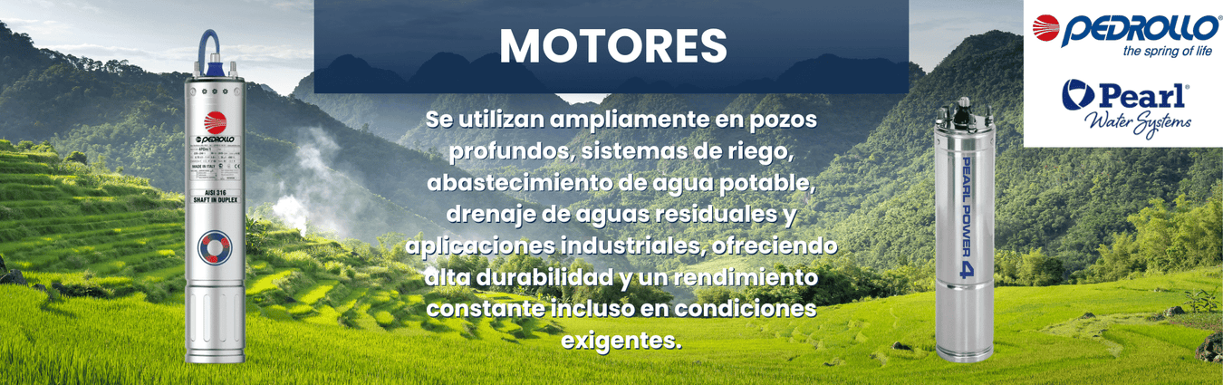 Motores