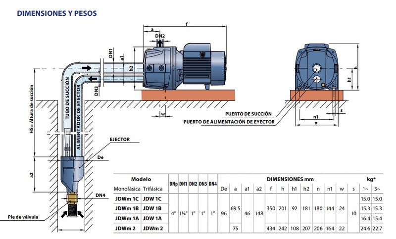 Bomba de Agua Jet para Pozos Profundos de 1 Hp, Pedrollo